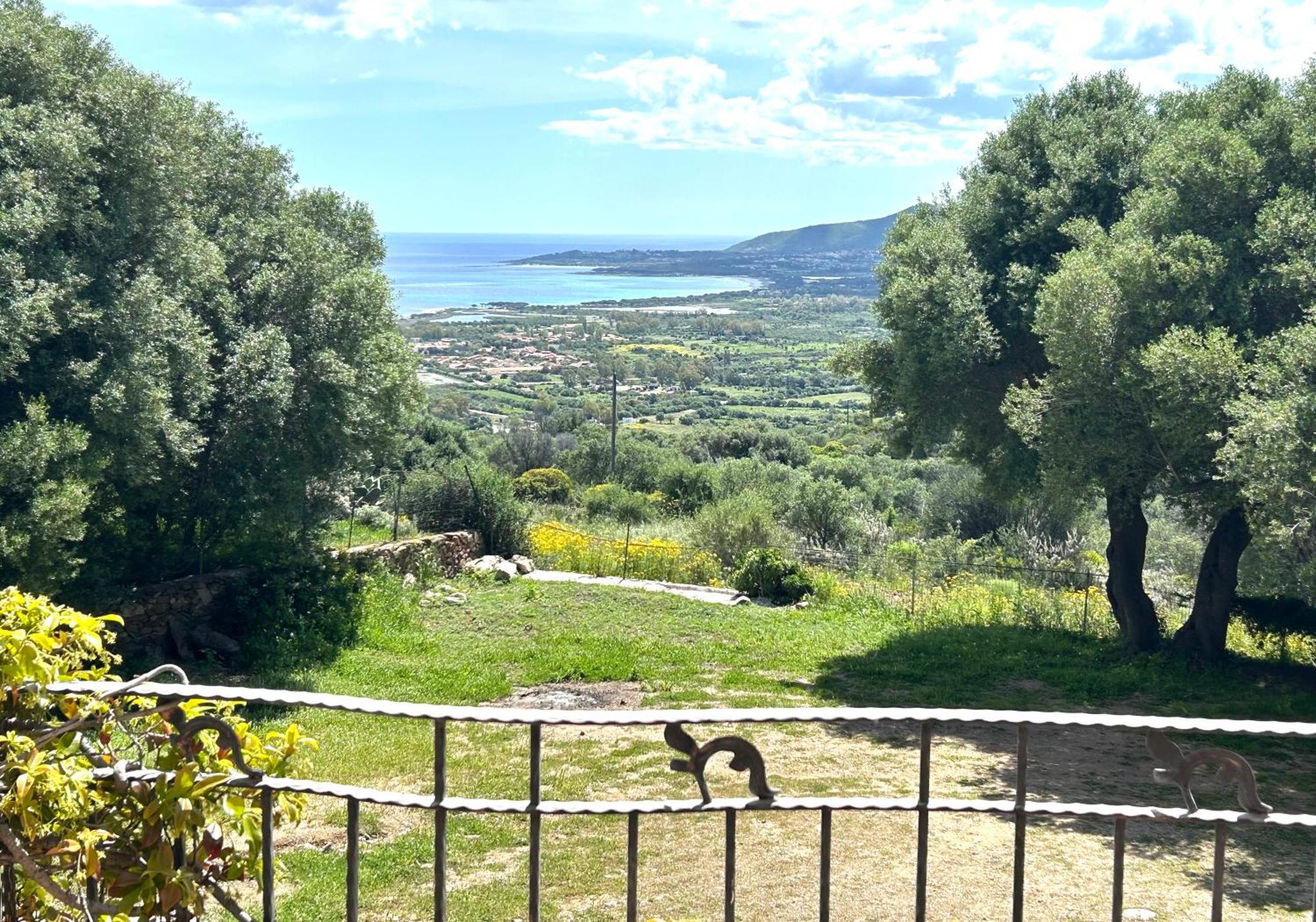 Solaria - Villa Ludduì Budoni Esterno foto